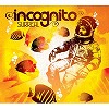 incognito-surreal